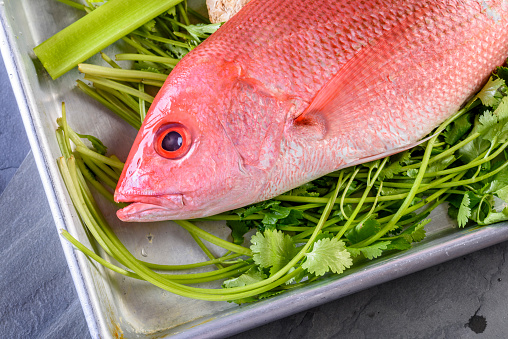 Raw Red Snapper with spice