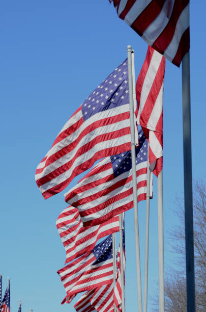 istock American flags in wind rippling on flag poles 657548070