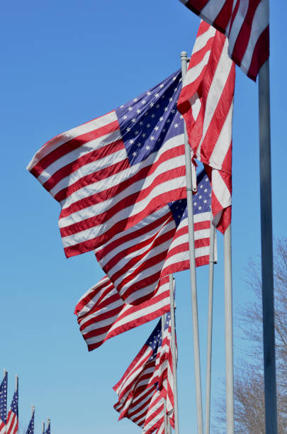 istock American flags in wind rippling on flag poles 657548450