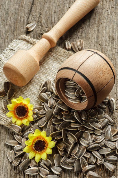 istock flower seeds inbowl 657552806