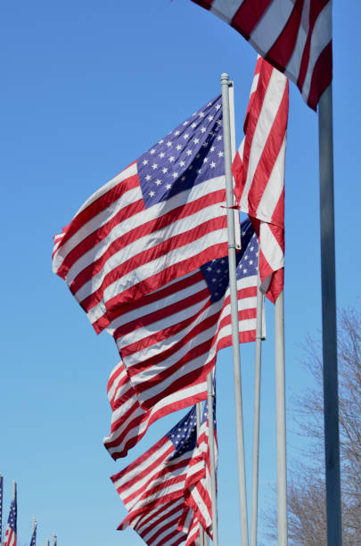istock American flags in wind rippling on flag poles 657552914