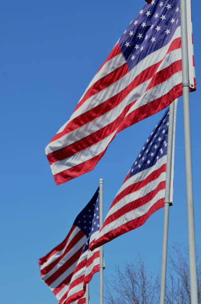 istock American flags in wind rippling on flag poles 657553026