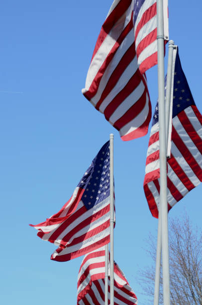 istock American flags in wind rippling on flag poles 657553628
