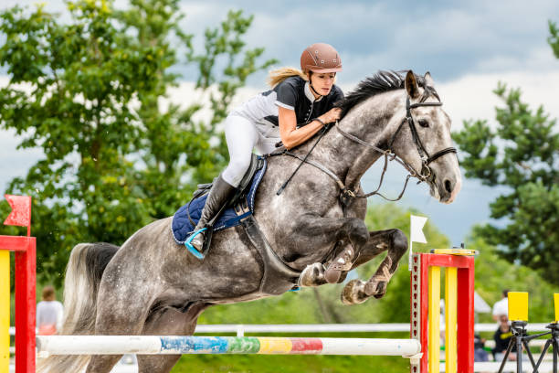 istock Show jumping - horse with rider passing over hurdle 657554330