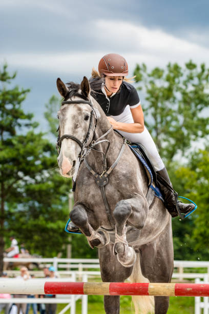 istock Show jumping - horse with rider passing over hurdle 657556076