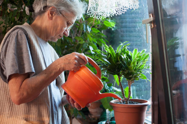 istock old woman watering flowers 657557280