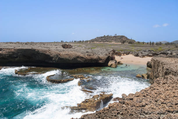 costa leste áspera de bonaire - fossil fuel - fotografias e filmes do acervo