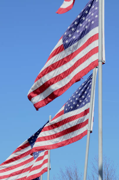 istock American flags in wind rippling on flag poles 657563548