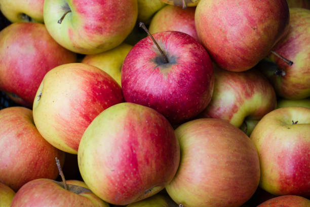 muitas maçãs em closeup - agriculture autumn apple greengrocers shop - fotografias e filmes do acervo