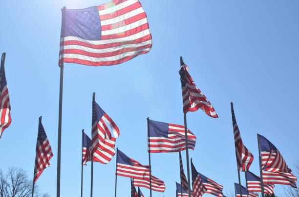 istock American flags in wind rippling on flag poles 657565760