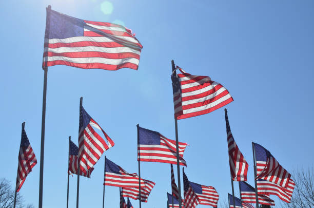 istock American flags in wind rippling on flag poles 657566606