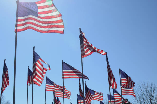 istock American flags in wind rippling on flag poles 657567038