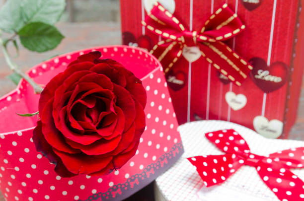 red rose flower with gift box for Valentine's Day