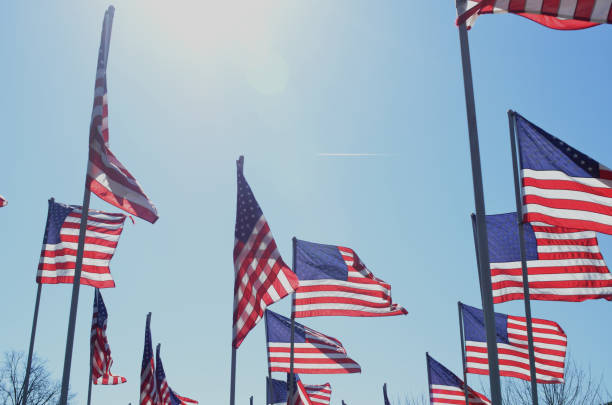 istock American flags in wind rippling on flag poles 657568442
