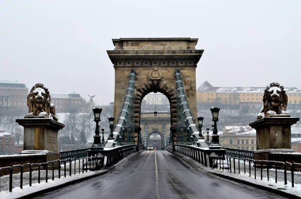 budapest - chain bridge budapest bridge lion imagens e fotografias de stock