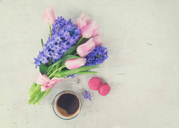 istock hyacinths and tulips 657569282