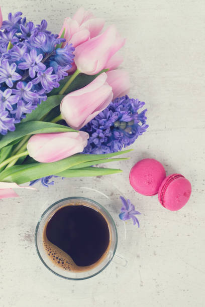 istock hyacinths and tulips 657569394