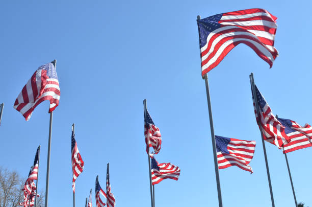 istock American flags in wind rippling on flag poles 657569580