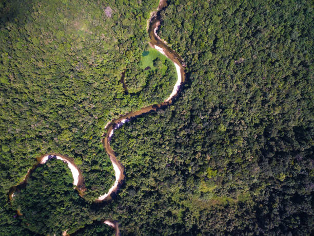 istock Aerial View of Rainforest in Brazil 657572122