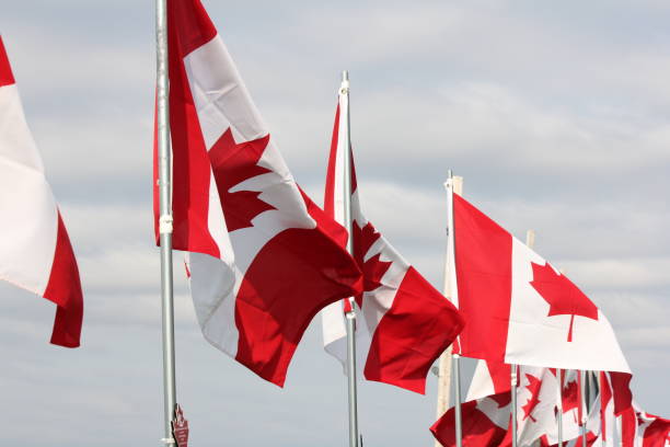 istock Canadian Flags on Fence 657573498