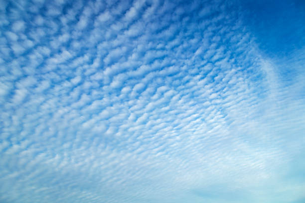 巻積雲雲 - cirrocumulus ストックフォトと画像