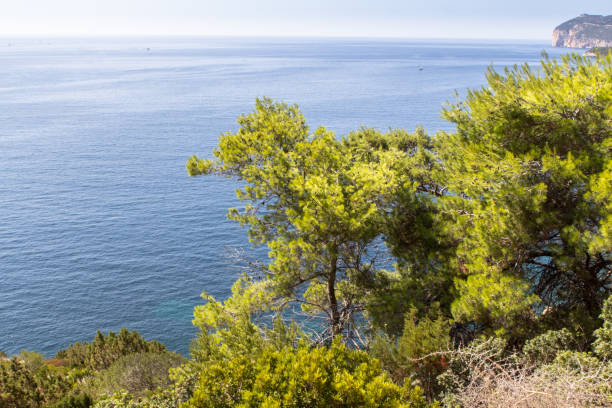 istock Summer landscape with green bushes on Sardinia Island 657602538