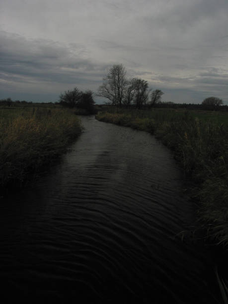 The "Fernau" in Heidkate The river "Fernau" in Wisch-Heidkate on the Baltic Sea traurig stock pictures, royalty-free photos & images