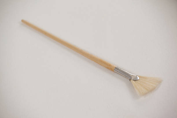 istock Fan paint brush against white background 657609826