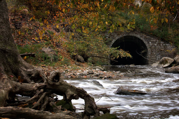 istock Tinker's Creek Viaduct 657616602