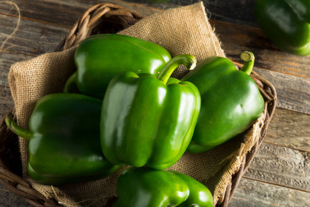 raw green organic bell peppers - green bell pepper green bell pepper organic imagens e fotografias de stock