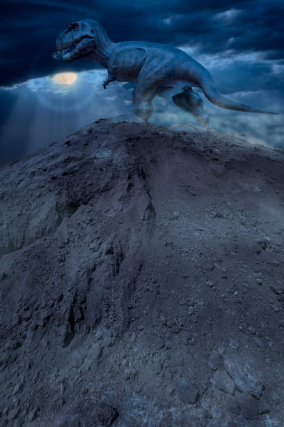 istock Figure of tyrannosaurus rex 657620368