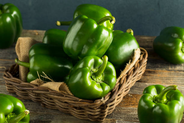 pimientos orgánicos verdes crudos - pimiento verde fotografías e imágenes de stock