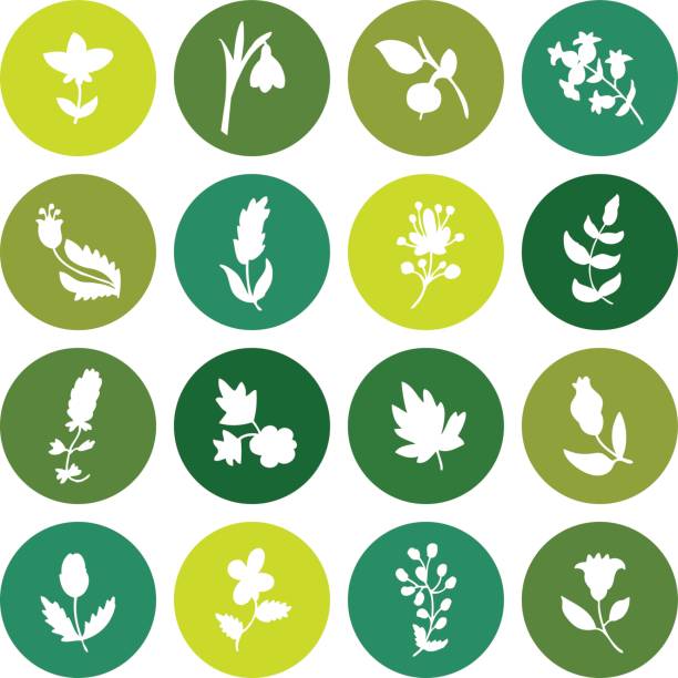 Leaves and flowers icons set. Leaves and flowers icons set. Vector design elements. It can be used as - logo, pictogram, icon, infographic element. linden new jersey stock illustrations