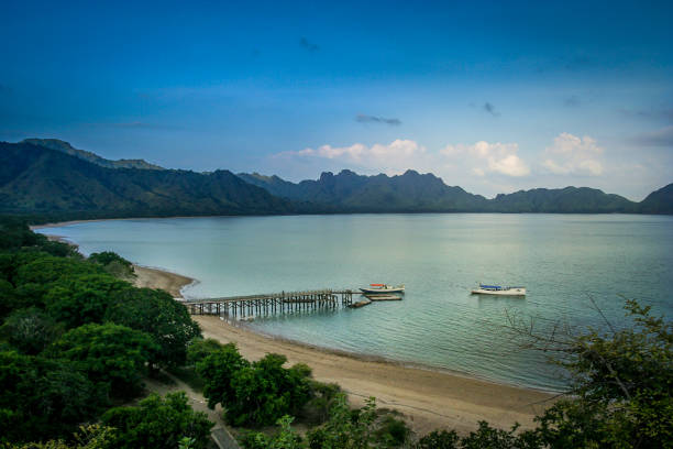 istock Landing pier on the Komodo island 657630116