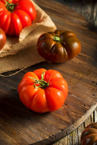 istock Raw Organic Red and Brown Heirloom Tomatoes 657636716