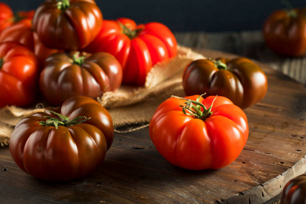 tomates crus da orgânica de vermelho e marrom - heirloom tomato organic tomato rustic - fotografias e filmes do acervo