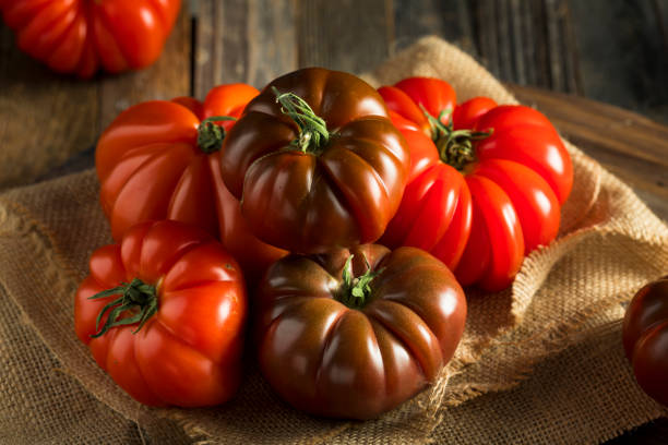 tomates crus da orgânica de vermelho e marrom - heirloom tomato organic tomato rustic - fotografias e filmes do acervo