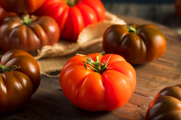 istock Raw Organic Red and Brown Heirloom Tomatoes 657640182
