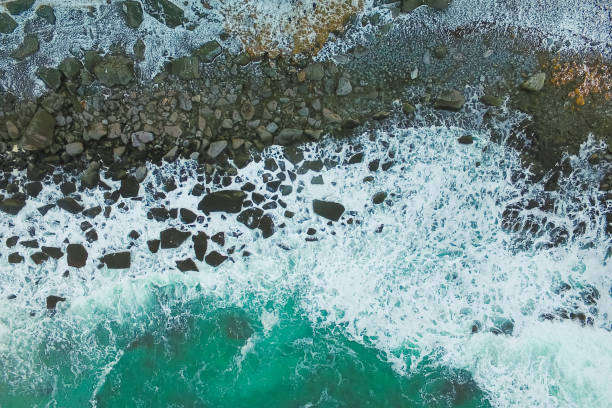 istock Shore of Lofoten 657643344