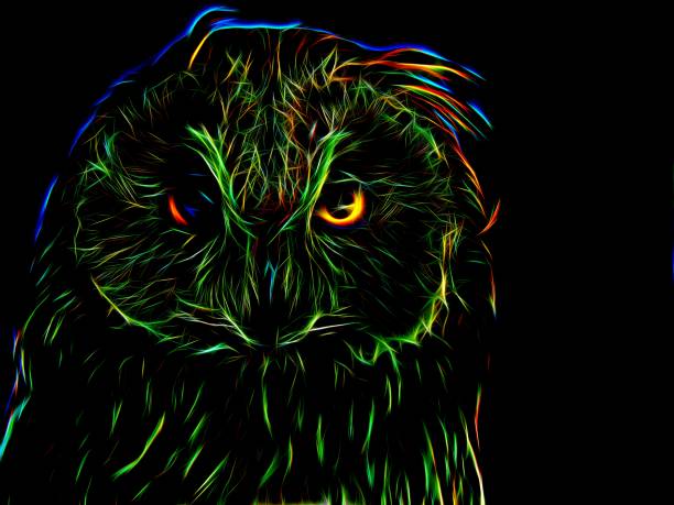 istock Silhouette of an image of an owl in neon light 657645902