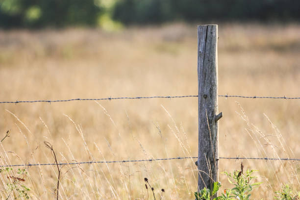 istock barbed wire fence in a field 657649532