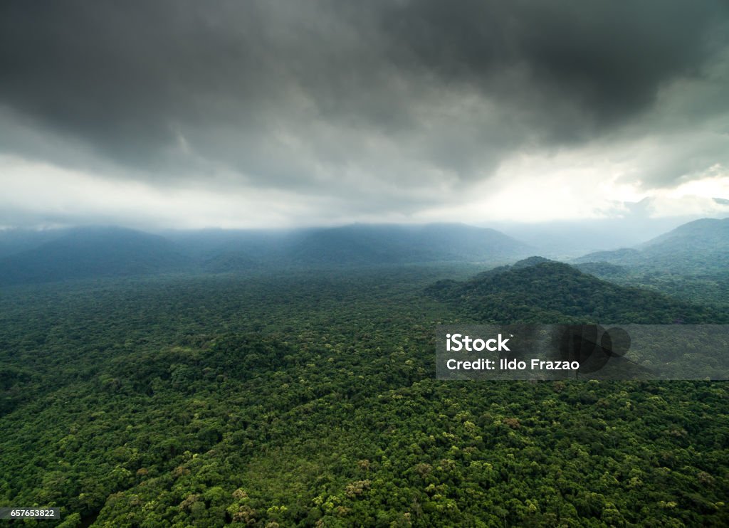 Aerial View of a Rainforest Democratic Republic of the Congo Stock Photo