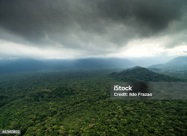 Aerial View Of A Rainforest Stock Photo - Download Image Now - Democratic Republic of the Congo, Papua New Guinea, Rainforest