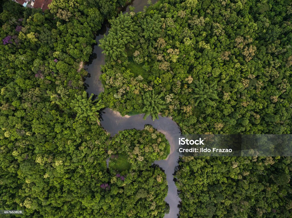 Aerial View of Rainforest in Brazil Amazon Region Stock Photo