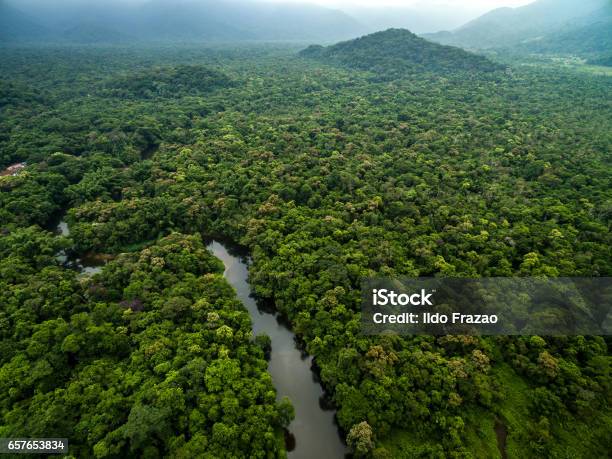 Luftaufnahme Des Regenwaldes In Brasilien Stockfoto und mehr Bilder von Brasilien - Brasilien, Amazonien, Wald