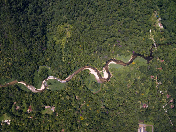 Aerial View of Rainforest in Brazil Aerial View of Rainforest in Brazil amazon forest stock pictures, royalty-free photos & images