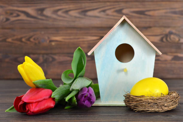 istock Easter card: Easter egg in the nest, birdhouse and tulips 657656388