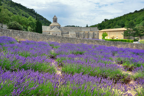 istock Abbey of Senanque 657659504