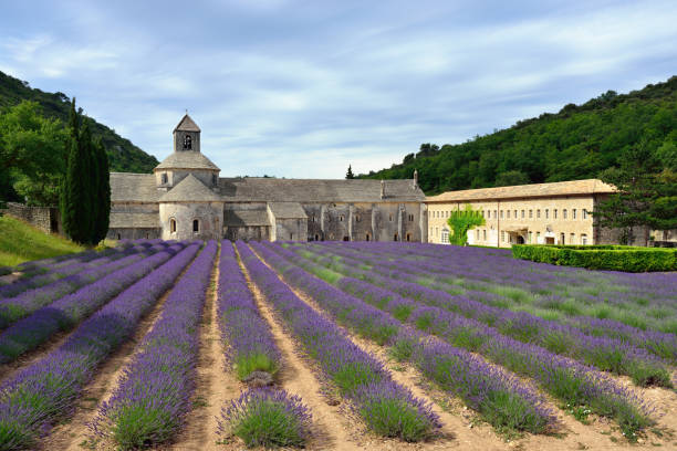 istock Abbey of Senanque 657659522