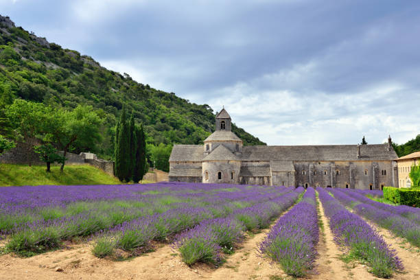 istock Abbey of Senanque 657659548
